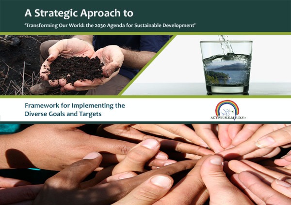 A Strategic Approach to 'Transforming our world: the 2030 Agenda for Sustainable Development'