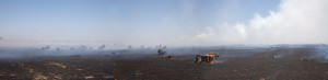  Peter Goin Fire, Jepson Prairie (Wild Fire in the Sacramento Delta, California) 2007, Pigment print, Hahnamuhle Watercolor Paper 350 gsm, 30 x 90 | Currently on display in Environmental Impact Fire, Jepson PrairieAssembled from multiple digital photographs, this panorama of a wildfire in Jepson Prairie, a Nature Conservancy park in northern California, documents the consequences of a carelessly ignited fire that rolled across agricultural fields.  This panorama is included in the Peter Goin and Paul F. Starrs California Agriculture Archive at the Bancroft Library at the University of California, Berkeley.  2007 digital negatives/2010 panorama print.