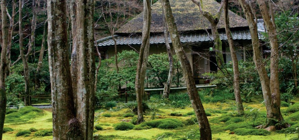 Moss Garden in Kyoto, Japan © J.G.Morrison