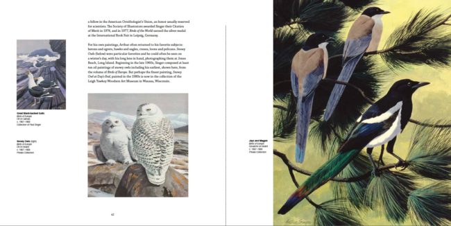  Arthur Singer, Birds of Europe c. 1967-1968 (Upper-Left) Great Black-backed Gulls, Oil on canvas, Collection of Paul Singer; (Bottom-Left) Snowy Owls, Oil on board, Private Collection; (Right) Jays and Magpie, Gouache on board, Private Collection