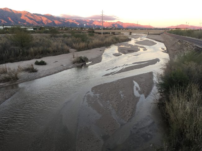 The Rillito River, a tributary of the Santa Cruz River near Tucson, Arizona | Image by Michael Bogan