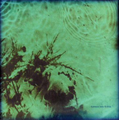 Underwater Photogram from Sabino Canyon, which flows into the Rillito By Kathleen Velo