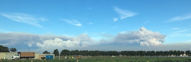 Pyrocumulus clouds forming over the Thomas fire as viewed from Oxnard. December 10, 2017 by Andrea Adams. 