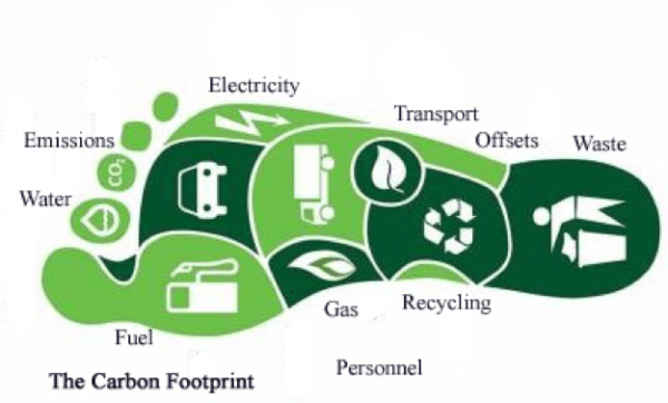 carbon footprint meaning essay