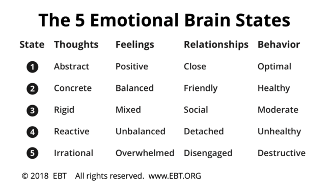5 Emotional Brain States