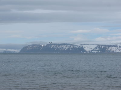Ísafjörður coast