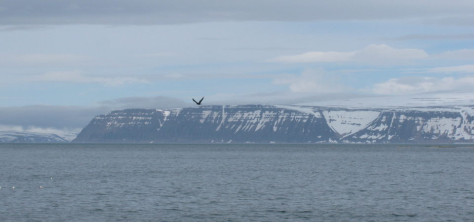 Ísafjörður coast