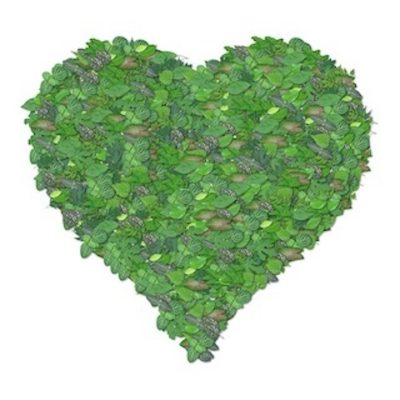 Heart made of leaves.