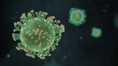 Image of Corona virus