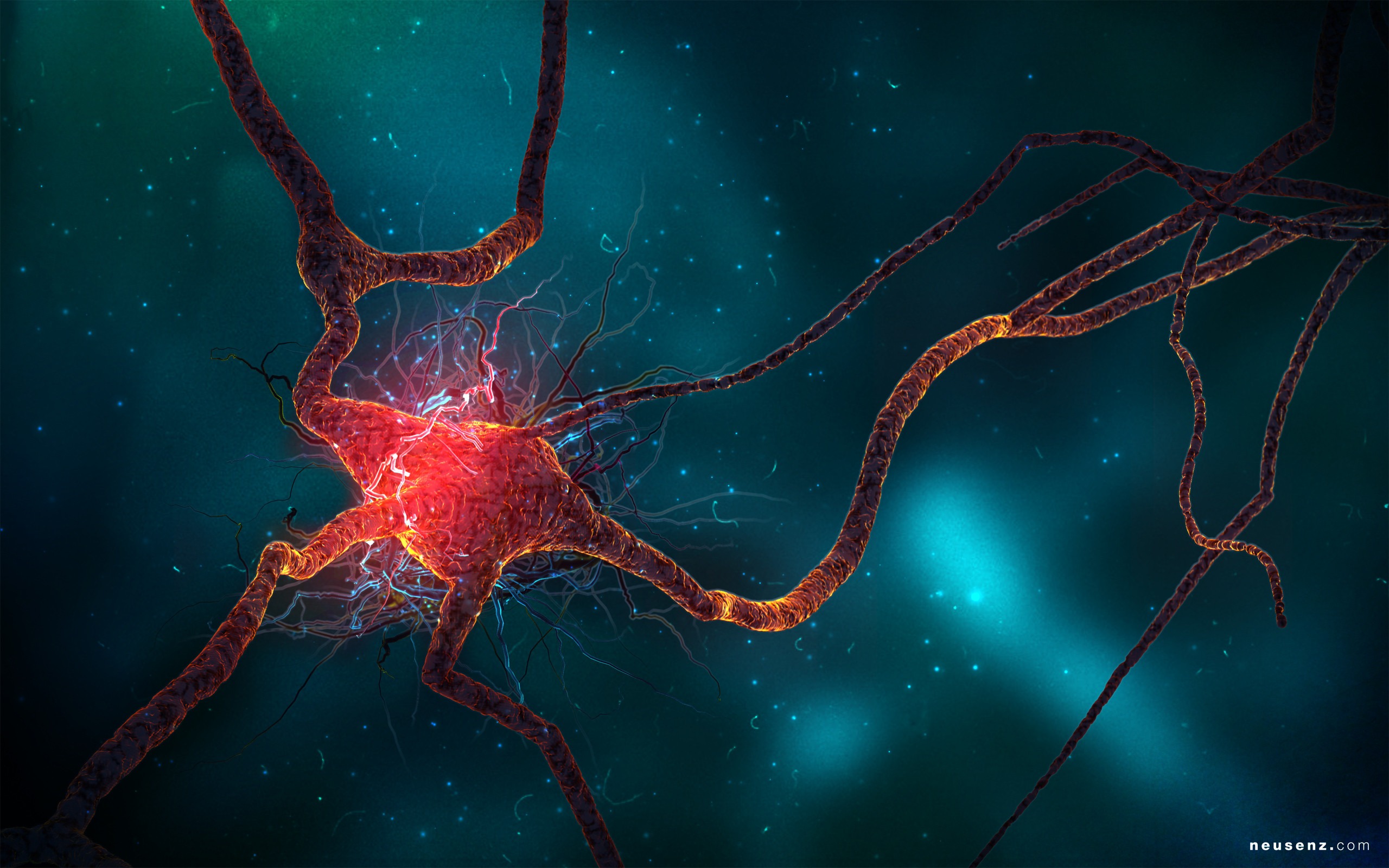 Complex Network Of Neurons Background, 3d Illustration Of Neuron Cells With  Light Pulses On A Light Background, Hd Photography Photo Background Image  And Wallpaper for Free Download