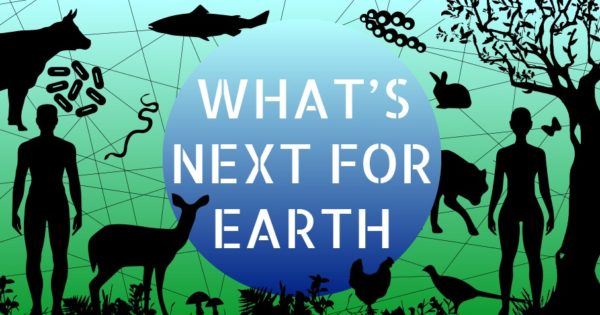 What's Net for Earth Art Call