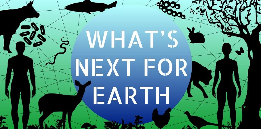 What's Net for Earth Art Call