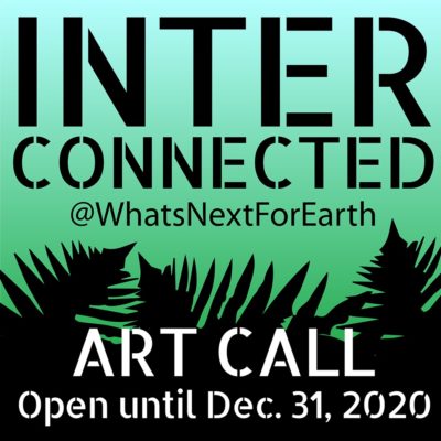 What's Next for Earth INTERCONNECTED