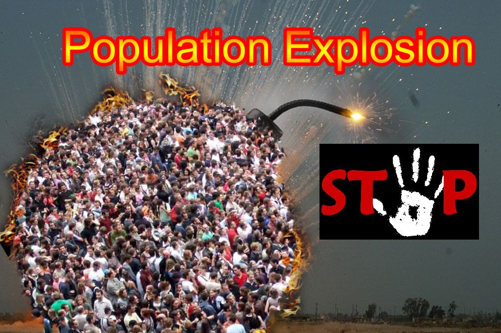 world-population-to-reach-8-1-billion-in-2025-un-says-world-cbc-news