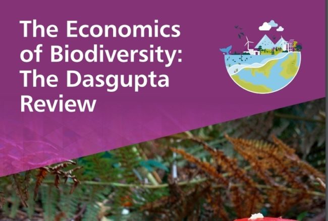 Final Report - The Economics Of Biodiversity: The Dasgupta Review - MAHB