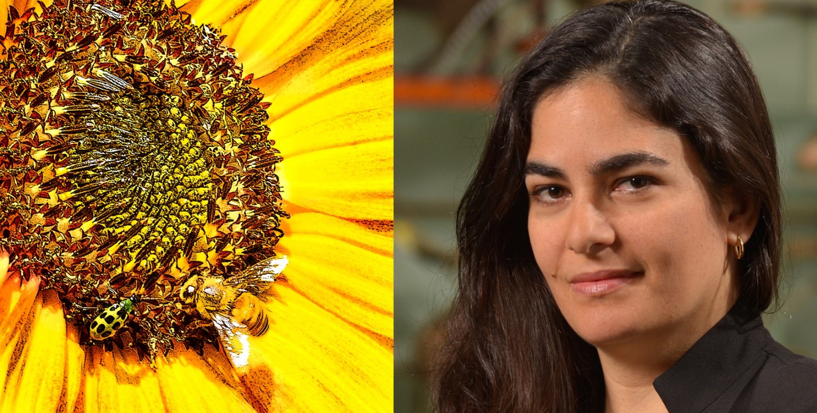 Protecting the Biodiverse Fabric of Nature – A MAHB Dialogue with Ana Luz Porzecanski, American Museum of Natural History